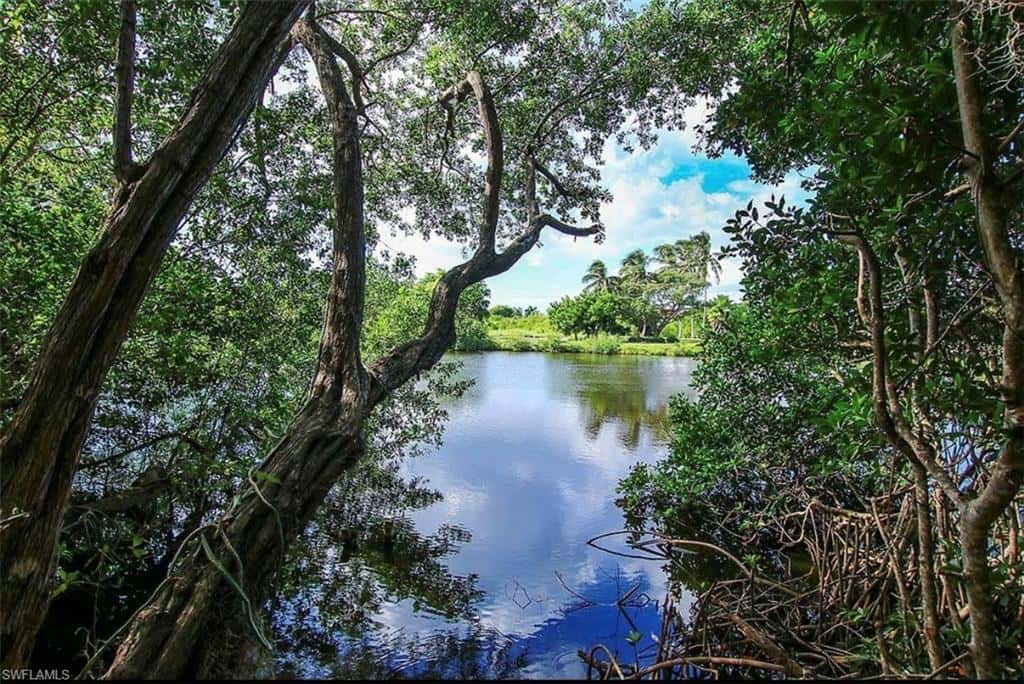 1318 Junonia St, Sanibel, photo 30