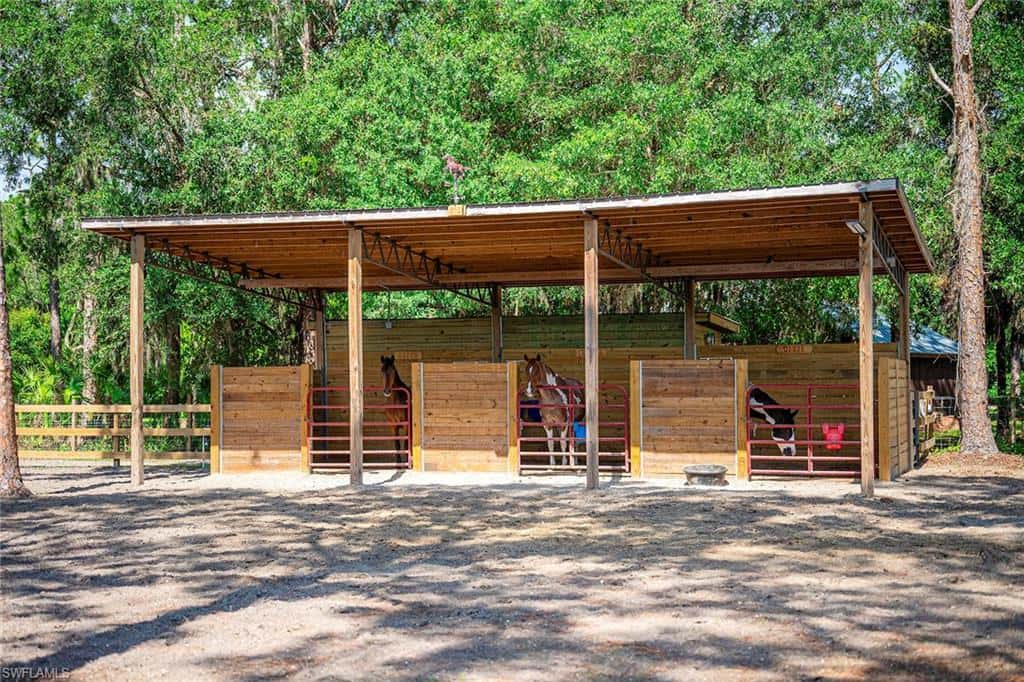 14661 Duke Hwy, Alva, photo 37