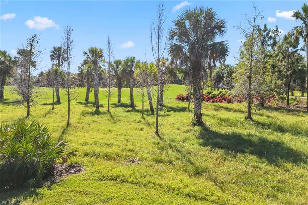 3878 Cotton Green Path Dr, Naples, photo 29