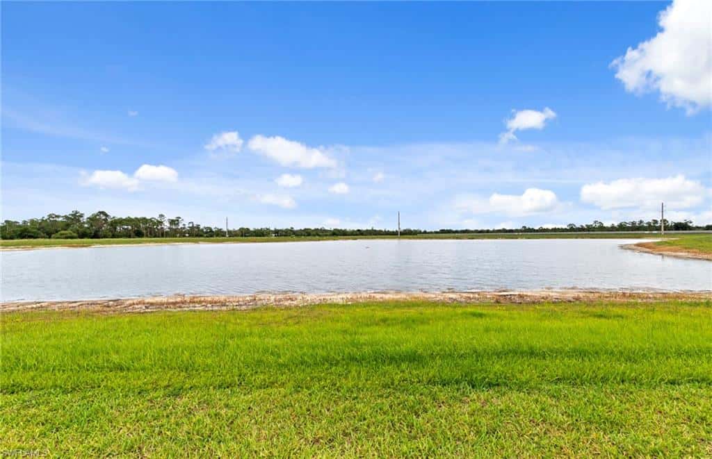 7335 Blue Salvia Dr, North Fort Myers, photo 39