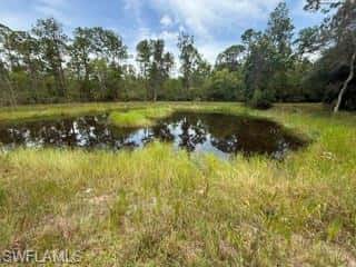 985 Honeybee Dr, Naples, photo 28
