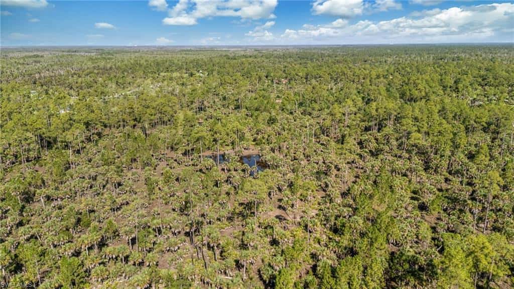 6010 Lee Williams Rd, Naples, photo 13