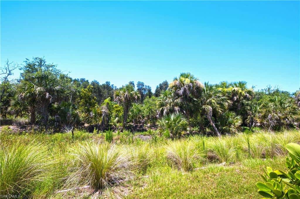 998 Enbrook Loop, Naples, photo 33