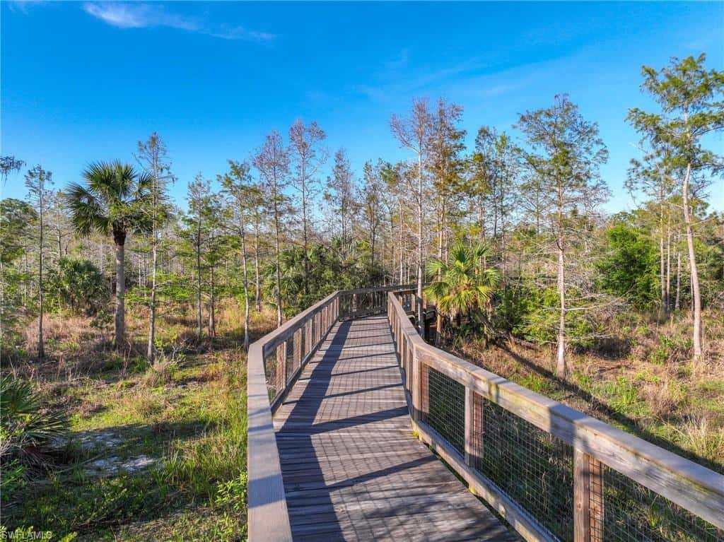 7156 Live Oak Dr, Naples, photo 21