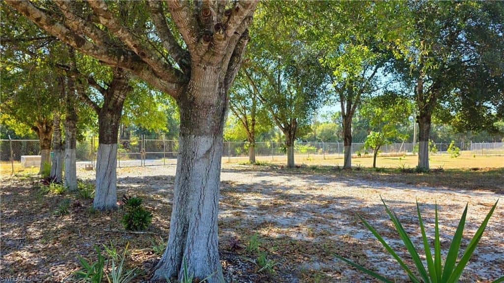 527 Perimeter, Clewiston, photo 30