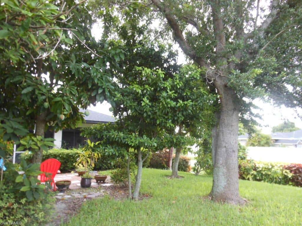 1236 Everest Pkwy, Cape Coral, photo 46