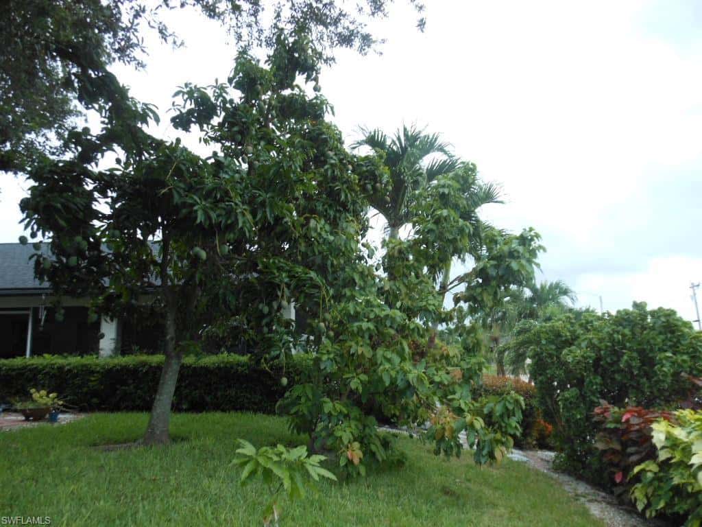 1236 Everest Pkwy, Cape Coral, photo 41