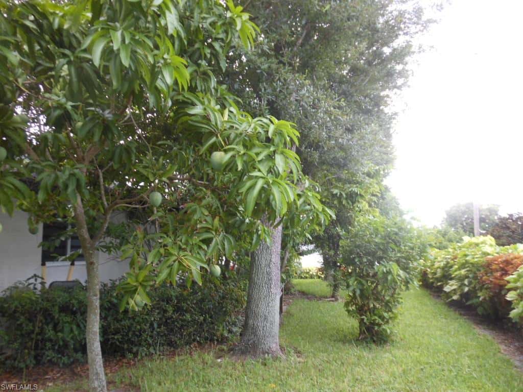 1236 Everest Pkwy, Cape Coral, photo 45