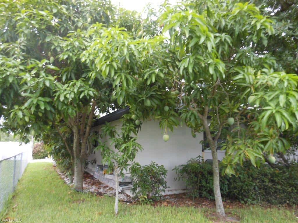 1236 Everest Pkwy, Cape Coral, photo 44