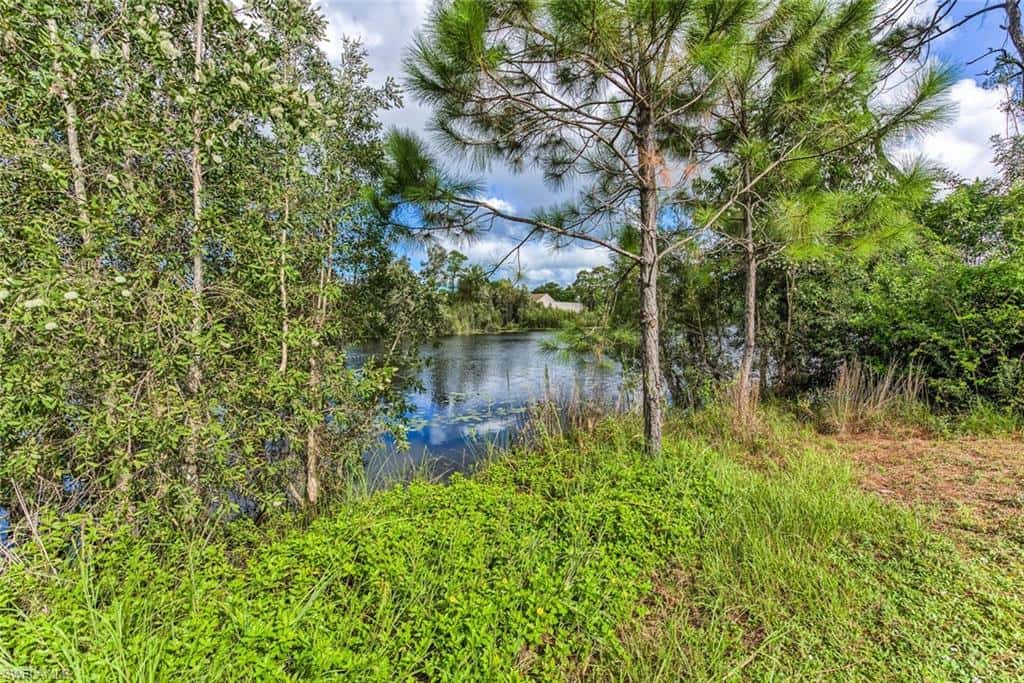 29 Caribbean Rd, Naples, photo 5