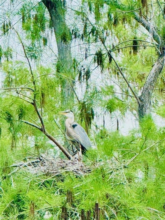 10528 Casella Way #102, Fort Myers, photo 37