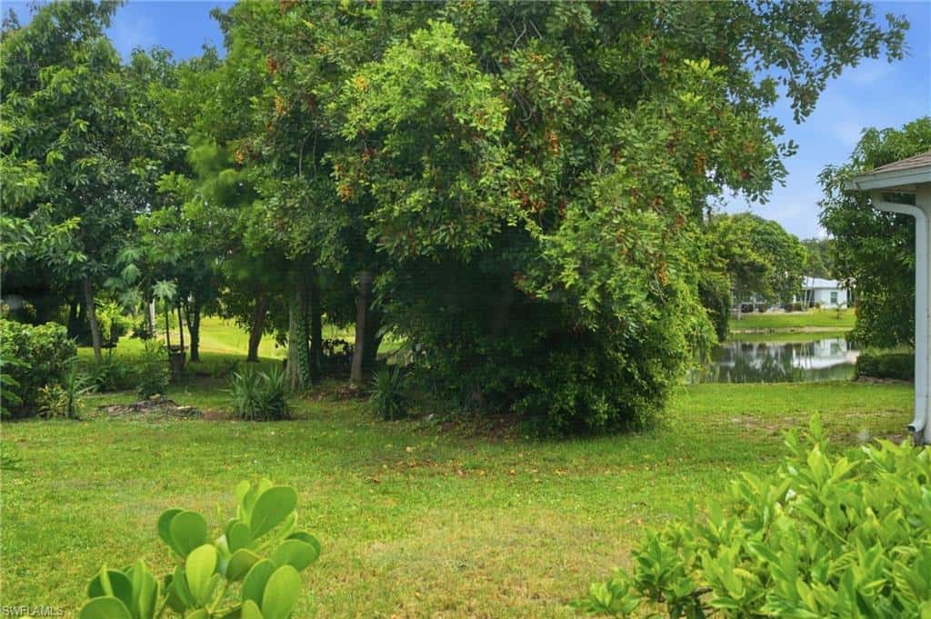 295 Stanhope Cir, Naples, photo 43