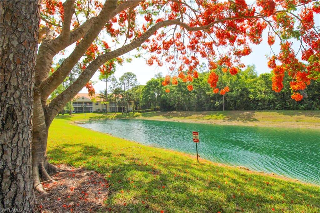 225 Robin Hood Cir #203, Naples, photo 5