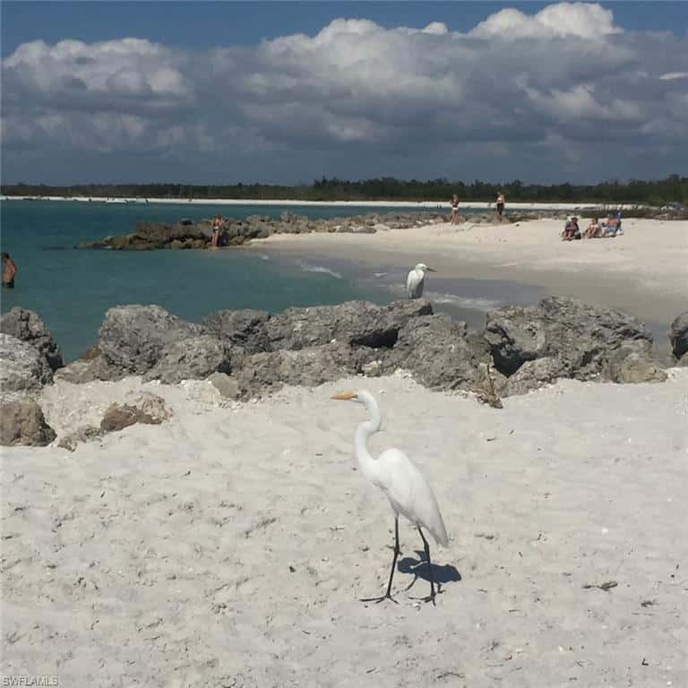 26000 Hickory Blvd #705, Bonita Springs, photo 15