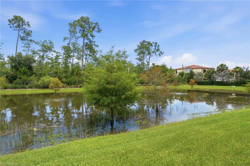 13081 Pembroke Dr, Naples, photo 21