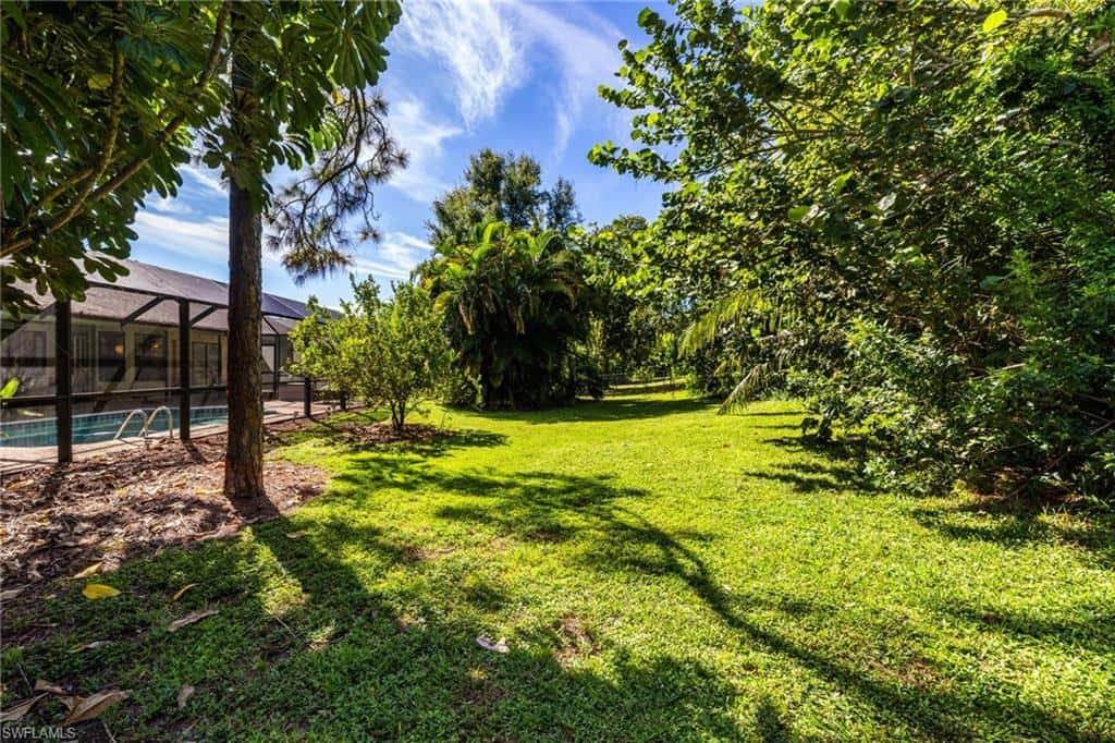 19112 Pine Run Ln, Fort Myers, photo 39