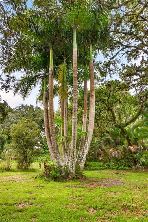 Buckingham, Fort Myers, Fort Myers, photo 36