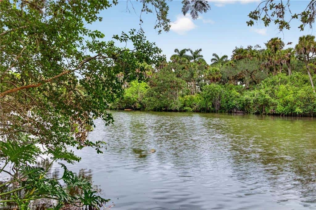 Buckingham, Fort Myers, Fort Myers, photo 31