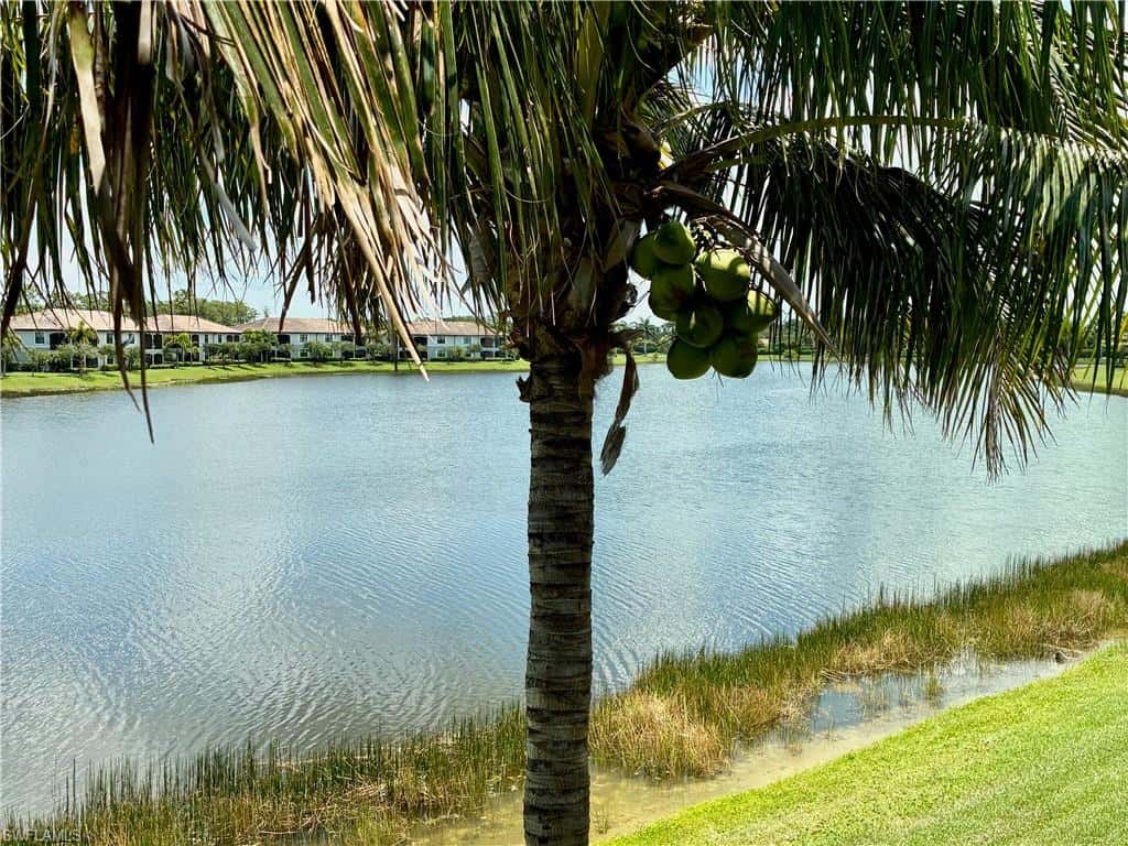 9529 Avellino Way #2825, Naples, photo 23