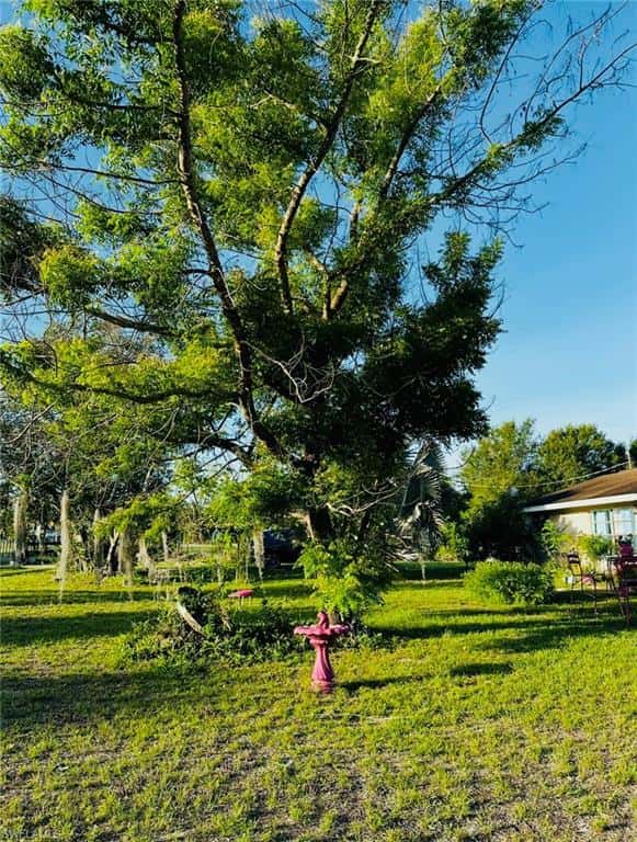 455 Trader Rd, Fort Denaud, photo 27