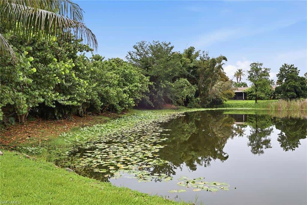 1073 Alhambra Cir, Naples, photo 42