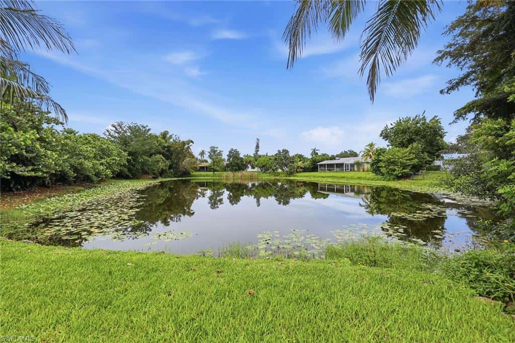 1073 Alhambra Cir, Naples, photo 43