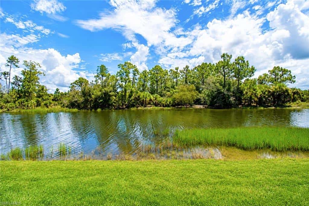 10619 Tirano Ct, Fort Myers, photo 38