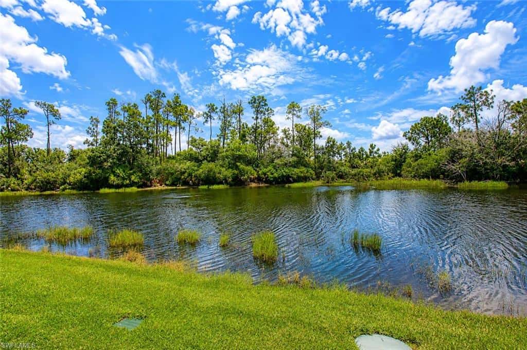10619 Tirano Ct, Fort Myers, photo 39