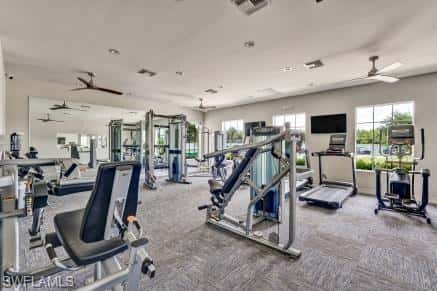 426 Tamarindo Ln, Naples, photo 40