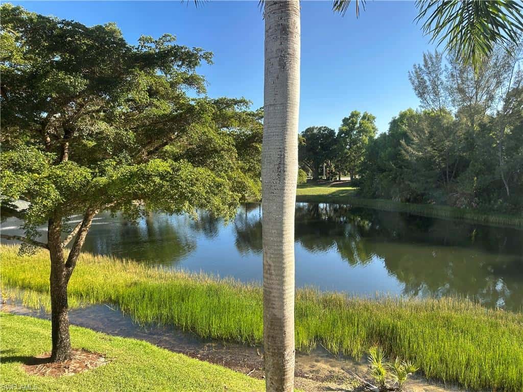 354 Dover Pl #202, Naples, photo 42