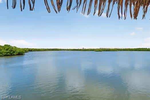 290 Naples Cove Dr #2604, Naples, photo 31