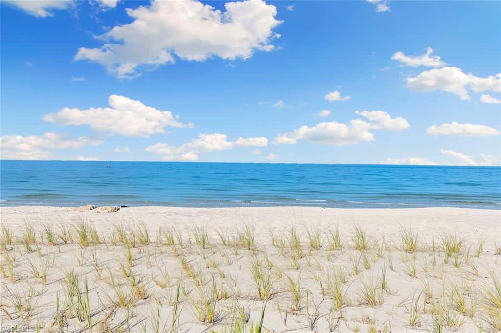 2121 Gulf Shore Blvd #203, Naples, photo 29