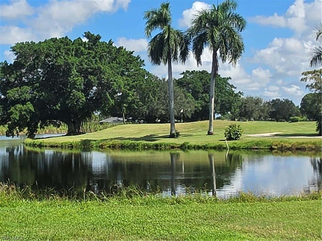 4561 Beechwood Lake Dr, Naples, photo 25