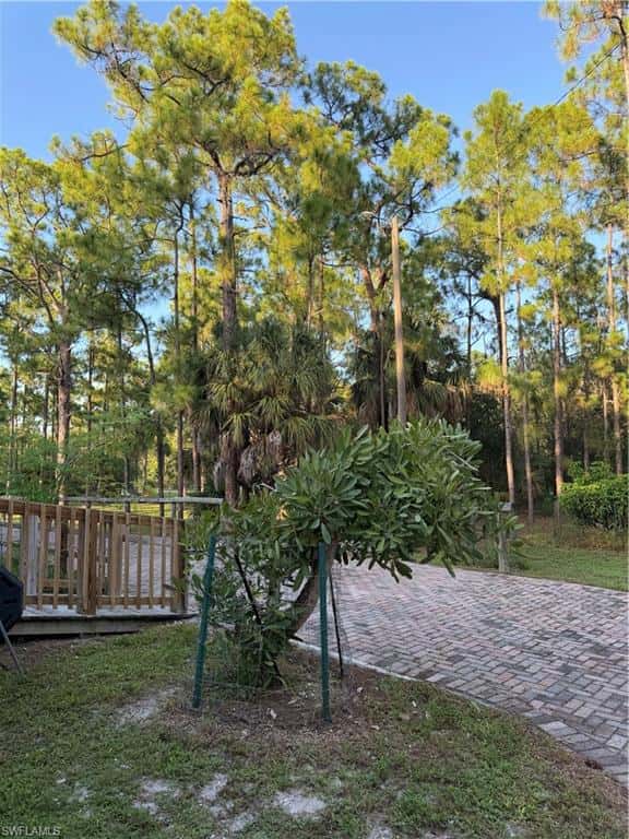 4700 Pioneer 23rd St, Clewiston, photo 5