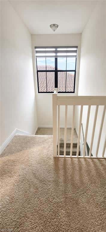 4952 Corrado Ave, Ave Maria, photo 22