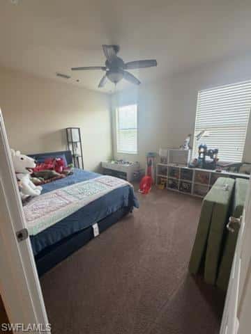 11253 Sparkleberry Dr, Fort Myers, photo 23