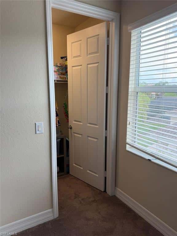 11253 Sparkleberry Dr, Fort Myers, photo 18