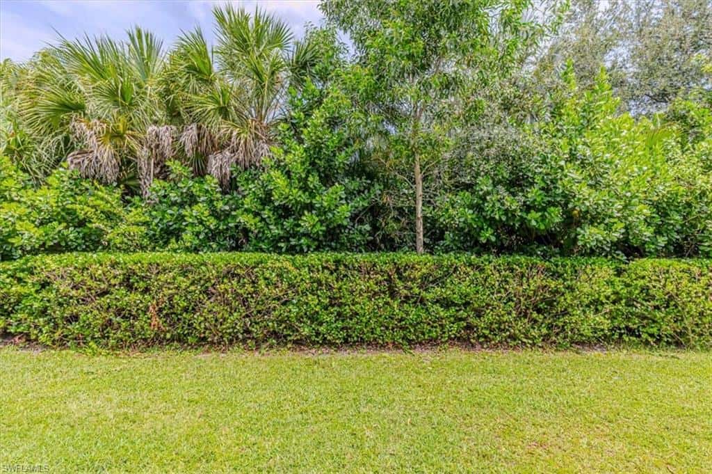 15457 Wildflower Cir, Naples, photo 22
