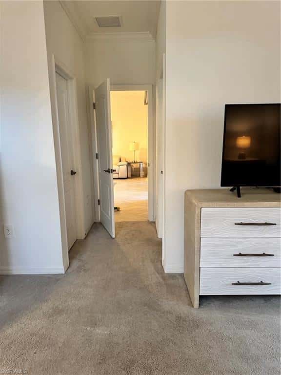 16207 Bacopa Dr, Alva, photo 18