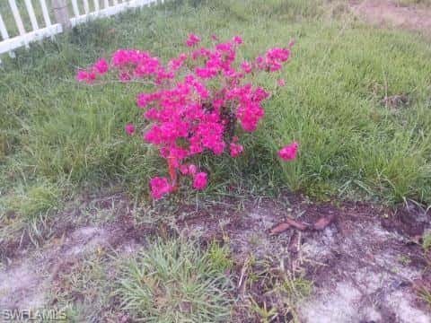 16960 Wildcat Dr, Fort Myers, photo 27