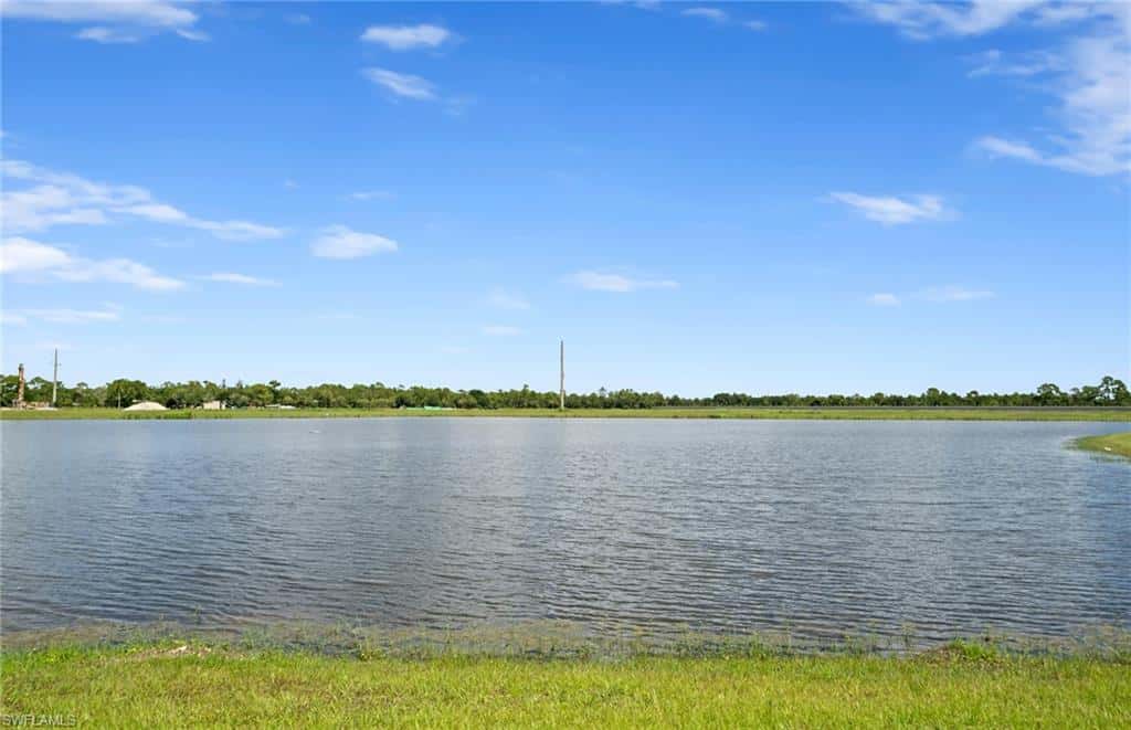 7339 Blue Salvia Dr, North Fort Myers, photo 48