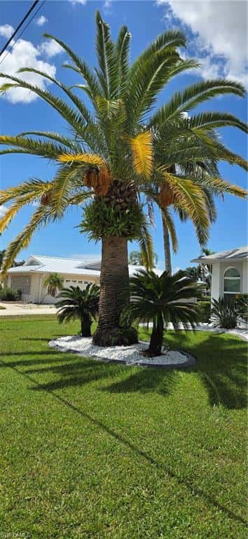 1210 21st Ave, Cape Coral, photo 48