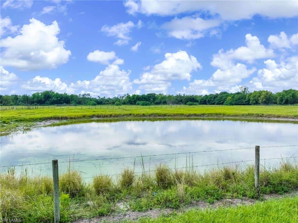 1330 Purple Martin Dr, Naples, photo 39