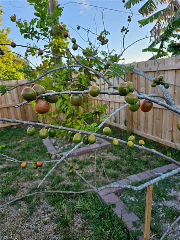 2230 Crystal Dr, Fort Myers, photo 46
