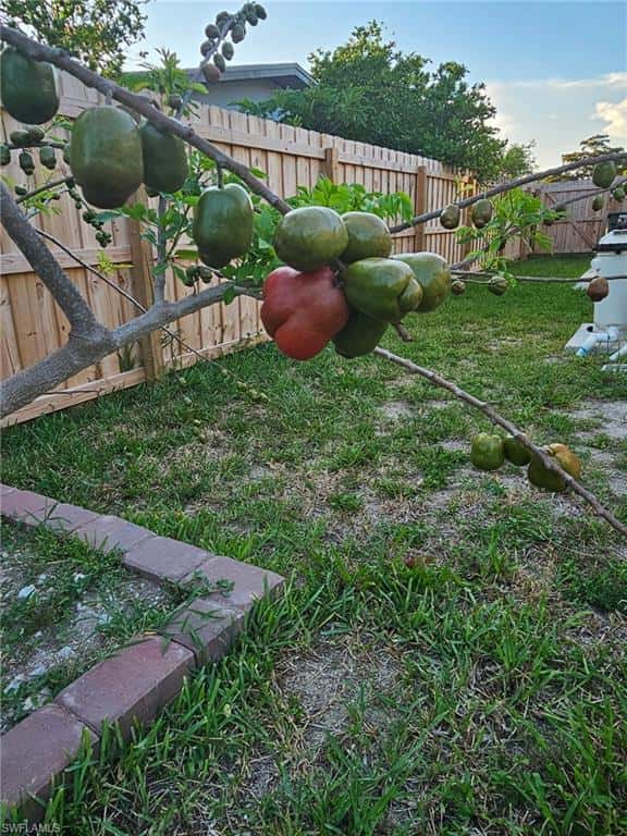 2230 Crystal Dr, Fort Myers, photo 50