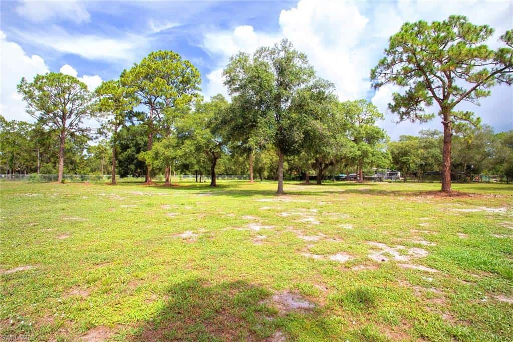 410 Cabbage Palm St, Clewiston, photo 6