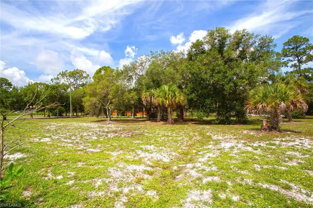 410 Cabbage Palm St, Clewiston, photo 8