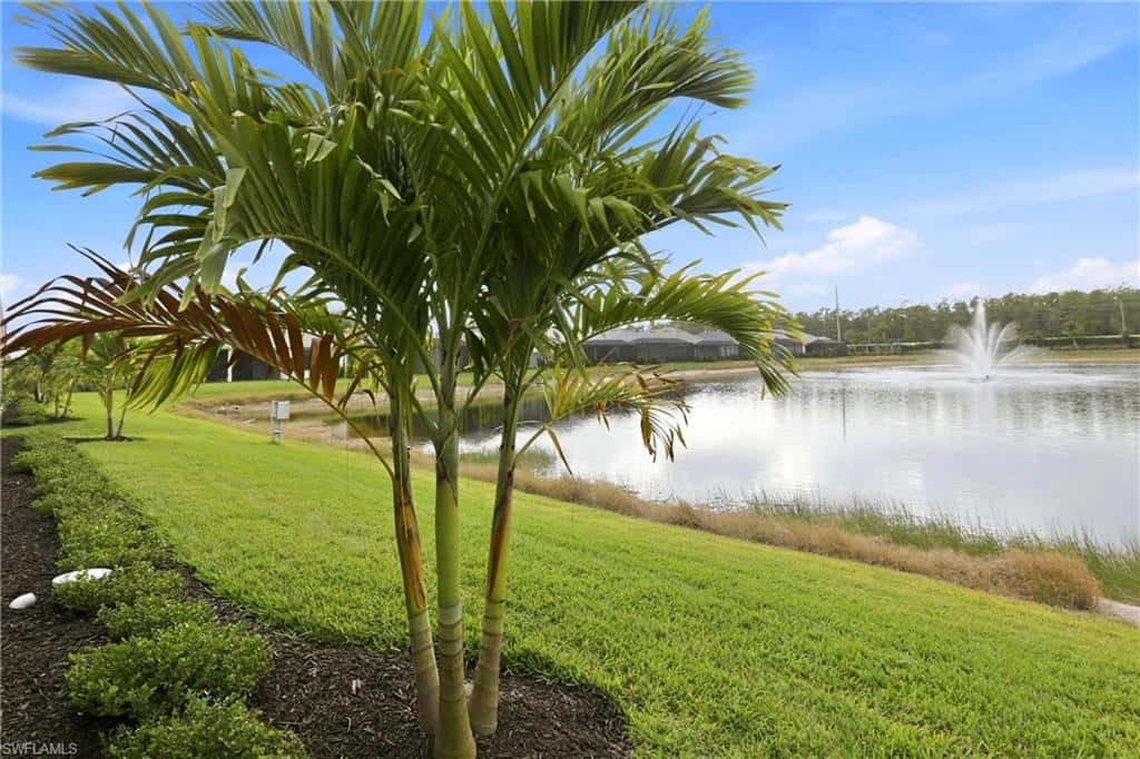 9707 Moonflower Ln, Naples, photo 46