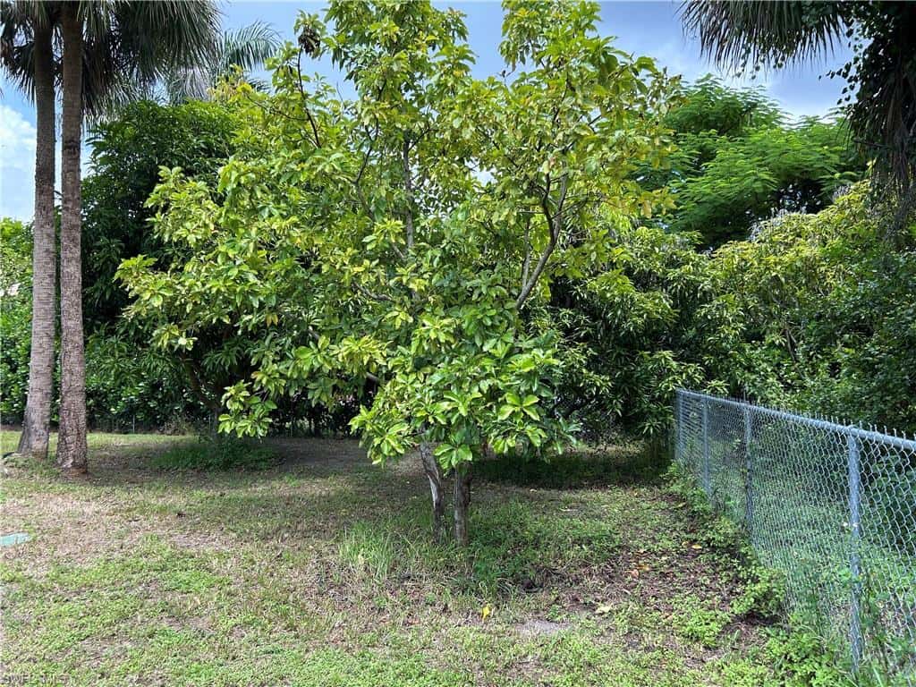 690 Wilson Blvd, Naples, photo 48