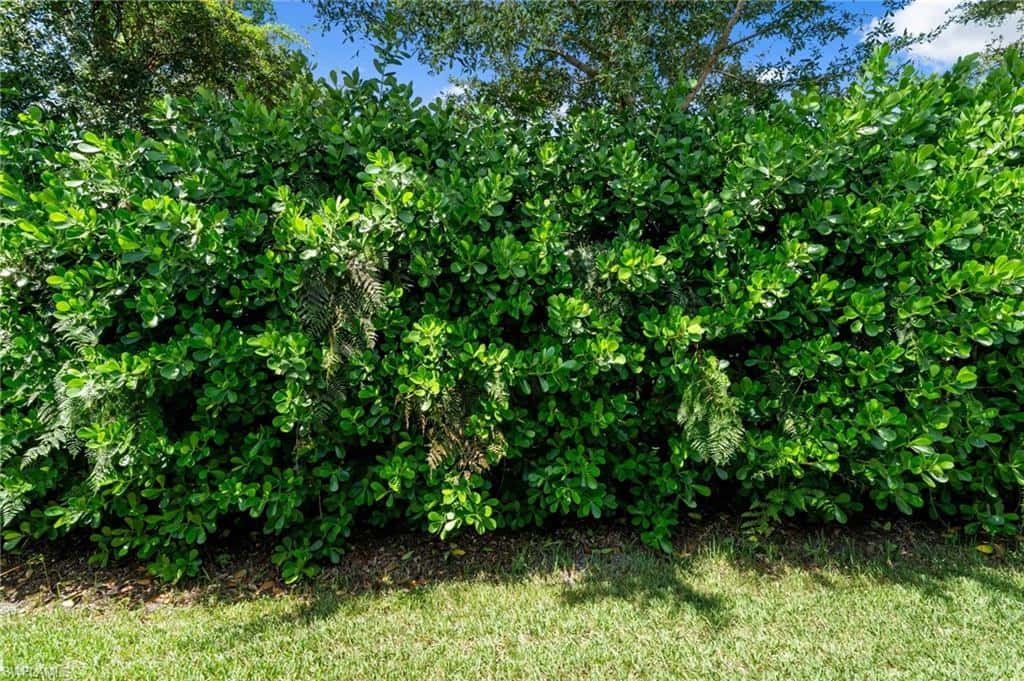 9086 Woodhurst Dr, Naples, photo 31